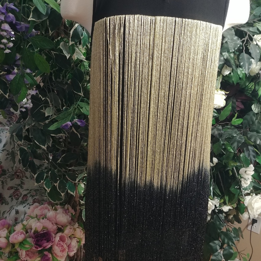 OMBRE FRINGE DRESS WITH BEADED BRAIDED COLLAR SZ SP